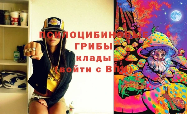кристаллы Гусев