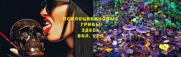 ECSTASY Горно-Алтайск