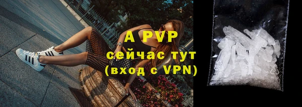 ECSTASY Горно-Алтайск