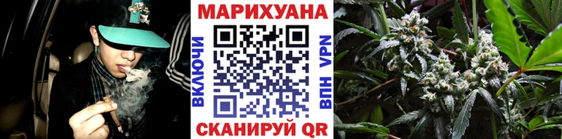 Шишки марихуана OG Kush  Купить где  Невинномысск 